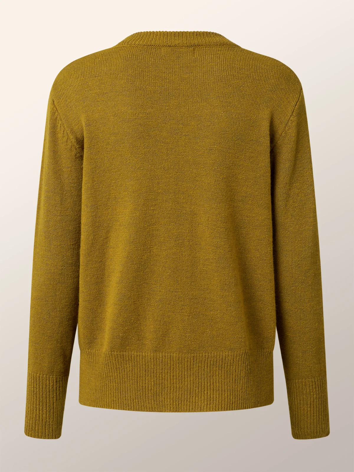 Green Daily Long sleeve Plain Simple Regular Fit Sweater