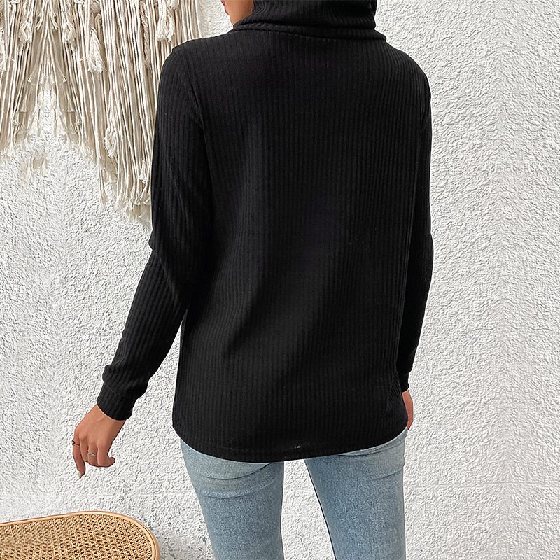 Turtleneck Jersey Loose Casual Blouse