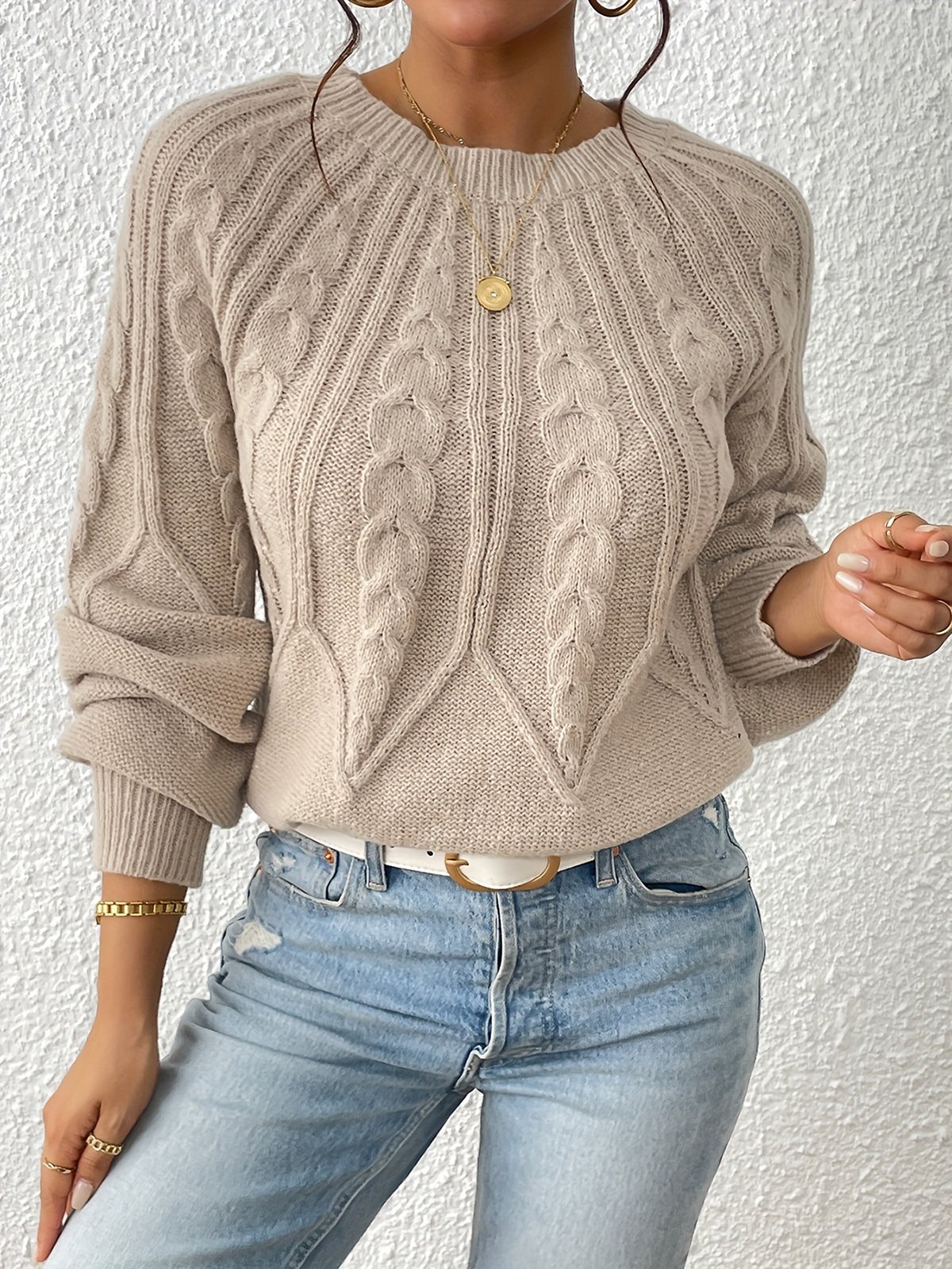 Casual Crew Neck Plain Loose Sweater