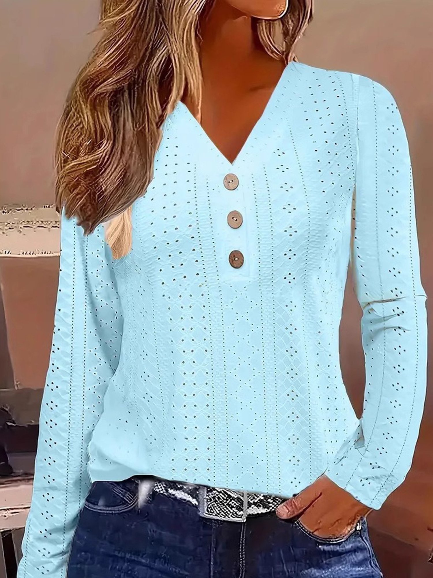 Casual Plain V Neck Blouse