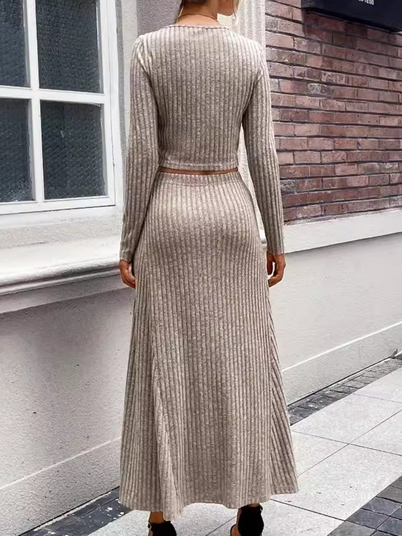 Women's Split Joint Plain Daily Going Out Two-Piece Set Coffee Casual Spring/Fall Top With Skirt Matching Set