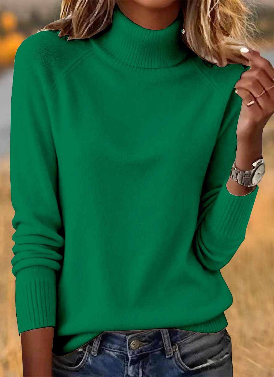 Casual Turtleneck Sweater