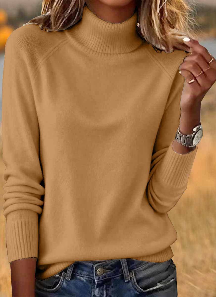 Casual Turtleneck Sweater