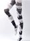 Cat Stockings Tights