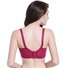 Sexy Lace Underwire Push Up Bra