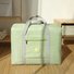 Creative Outdoor Cute Bag Waterproof Folding Travel Bag Portable Pull-pole Luggage Bag Storage Bag