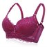 Sexy Lace Underwire Push Up Bra