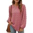 Women's Long Sleeve Blouse Spring/Fall White Plain Crew Neck Daily Going Out Casual Top