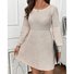 Casual Regular Fit Dress With No
