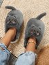Casual Cartoon Cat Embroidery Fleece Fluffy Slippers