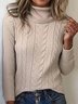 Turtleneck Casual Regular Fit Sweater
